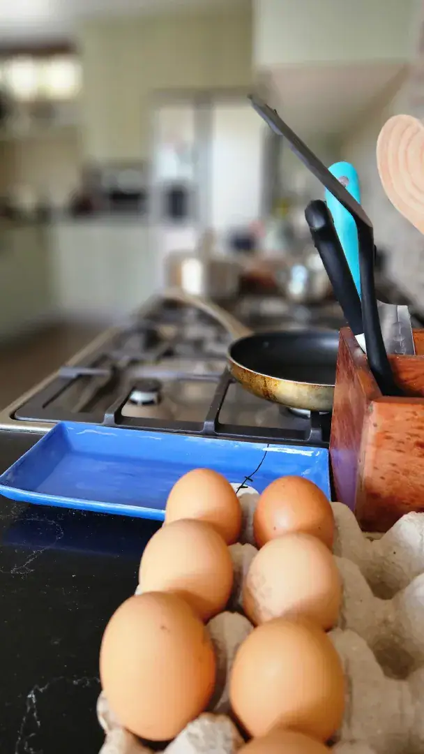 A tray of eggs on the counter